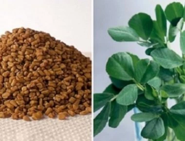 «Θαύμα» της Φύσης: Ο καρπός που αυξάνει φυσικά το στήθος και αδυνατίζει